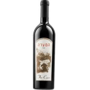 המערה 2017