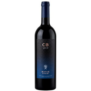 מטר CB 2019