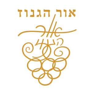 יקב אור הגנוז