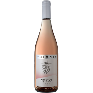 אור הגנוז עמוקה רוזה 2025
