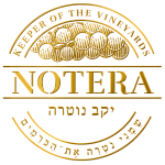 יקב נוטרה
